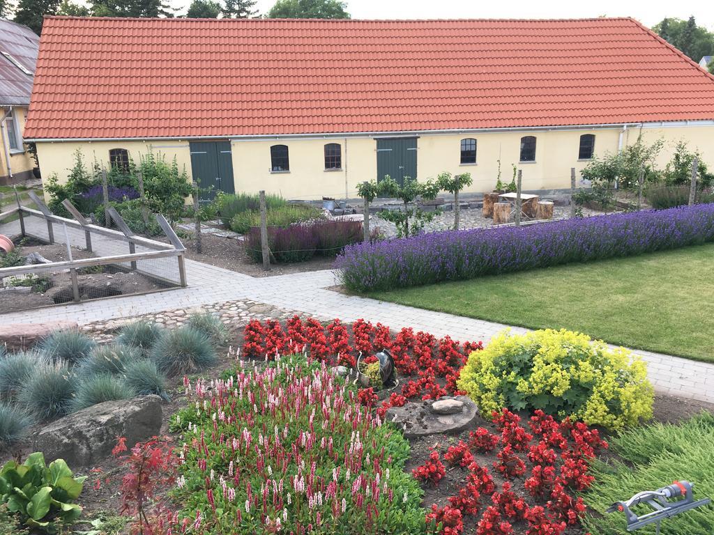 Birkende Bed And Breakfast Langeskov Eksteriør bilde