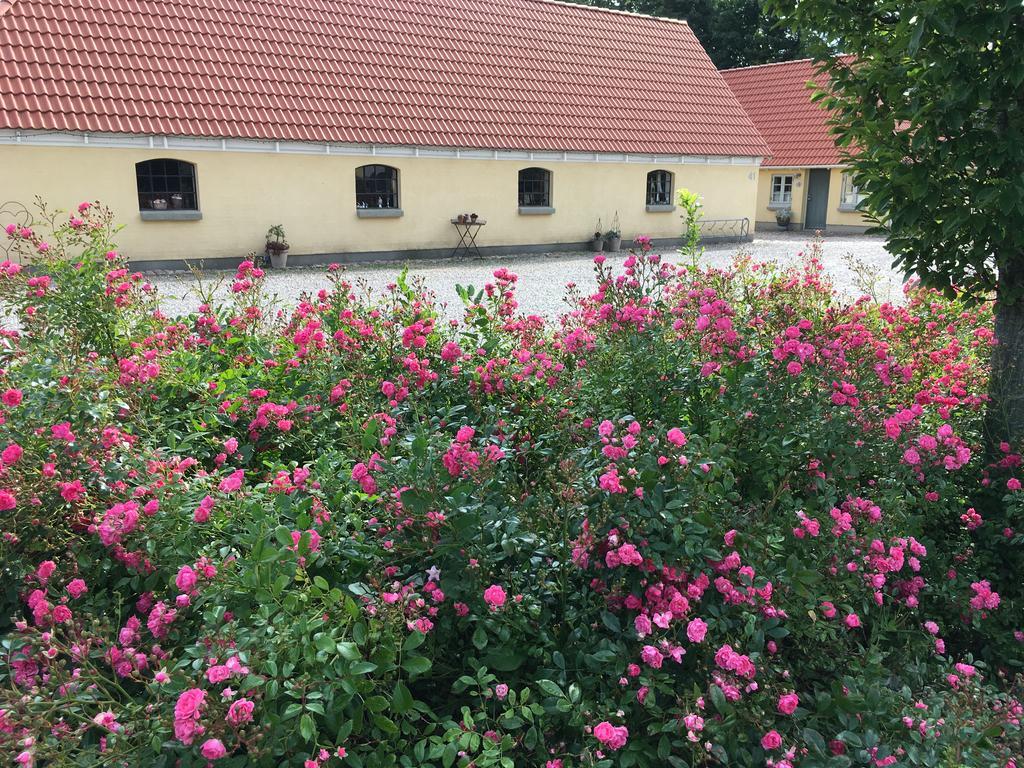 Birkende Bed And Breakfast Langeskov Eksteriør bilde